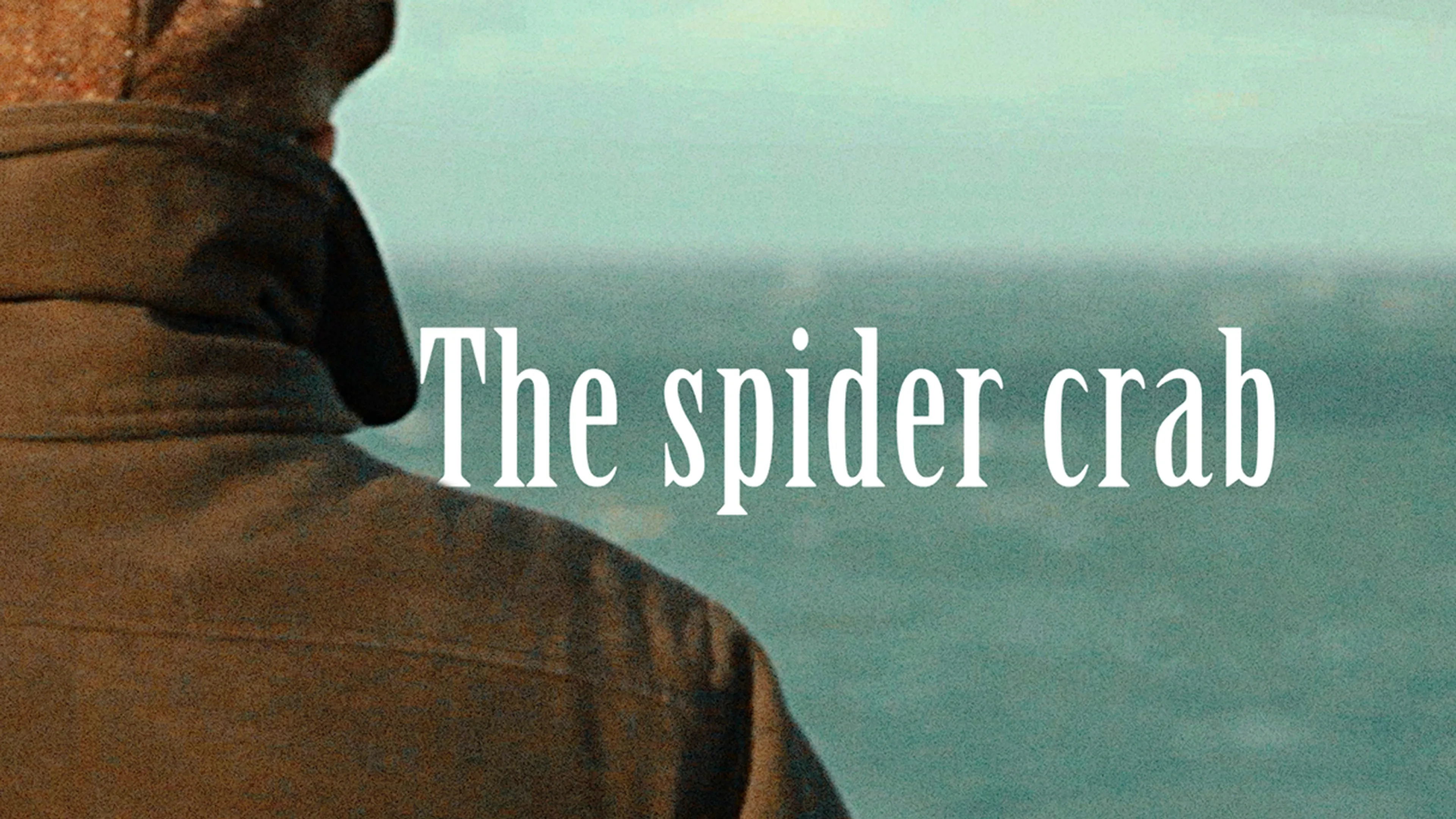 The Spider Crab poster
